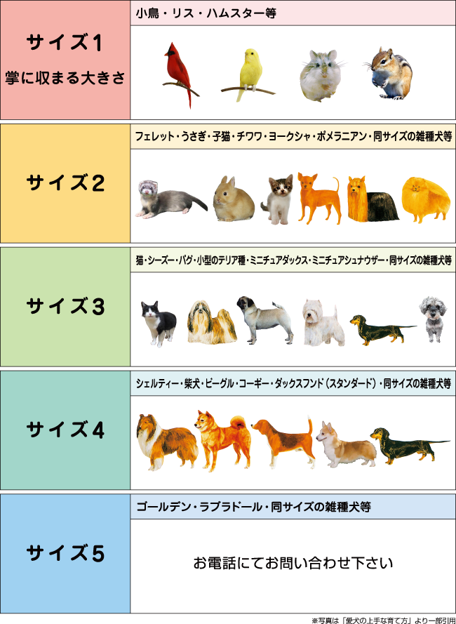 ペットのサイズ区分表