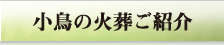 小鳥の葬儀ご紹介