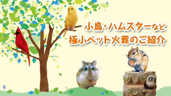 珠猫神社(たまねこじんじゃ)