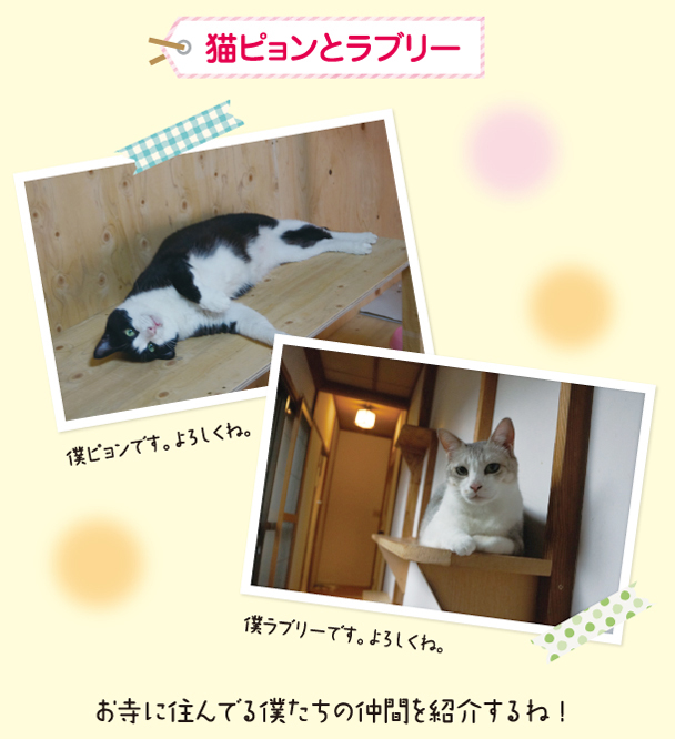猫ピョンとラブリー