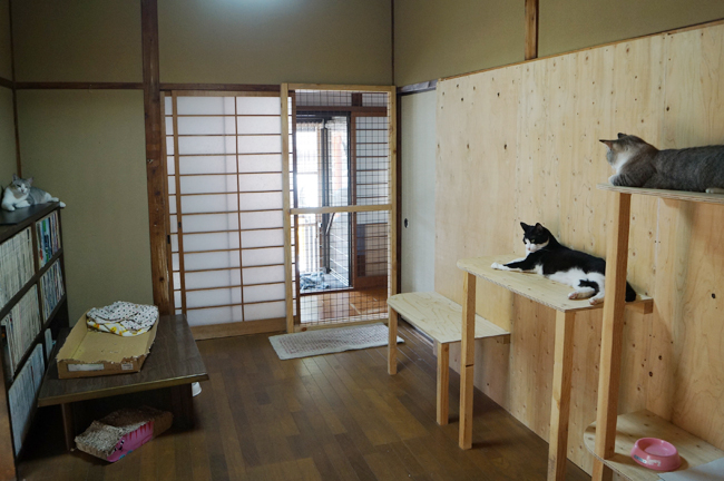 新しいキャットルーム